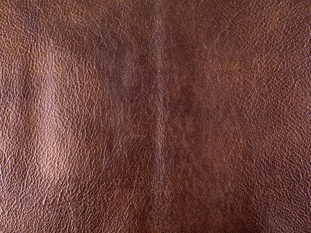 Carbono